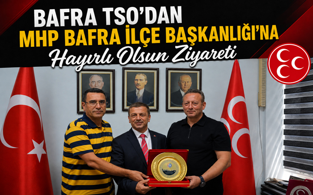 BAFRA-MHP-TSO