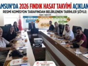 SAMSUN’DA 2026 FINDIK HASAT TAKVİMİ AÇIKLANDI