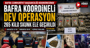 Bafra`da Dev Operasyon 265 Kilo Skunk Ele Geçirildi