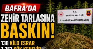 Bafra’da Zehir Tarlasına Baskın