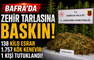 Bafra’da Zehir Tarlasına Baskın