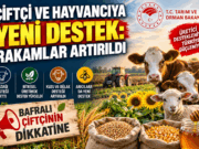 BAFRALI ÇİFTÇİ VE HAYVANCIYA DESTEKLER ARTIRILDI