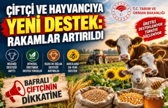 BAFRALI ÇİFTÇİ VE HAYVANCIYA DESTEKLER ARTIRILDI
