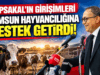 Topsakal`ın Girişimi ile Buzağı ve süt desteği