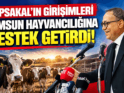 Topsakal`ın Girişimi ile Buzağı ve süt desteği