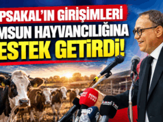 Topsakal`ın Girişimi ile Buzağı ve süt desteği